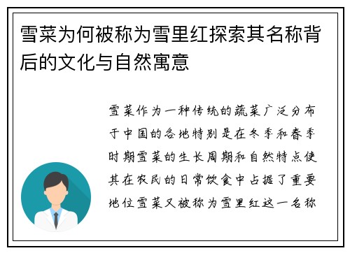 雪菜为何被称为雪里红探索其名称背后的文化与自然寓意